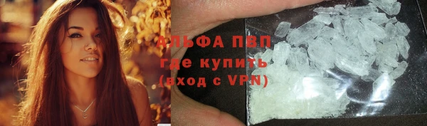 крисы Алексин