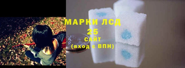 ПСИЛОЦИБИНОВЫЕ ГРИБЫ Алзамай