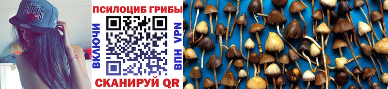Галлюциногенные грибы Psilocybine cubensis  Черепаново 